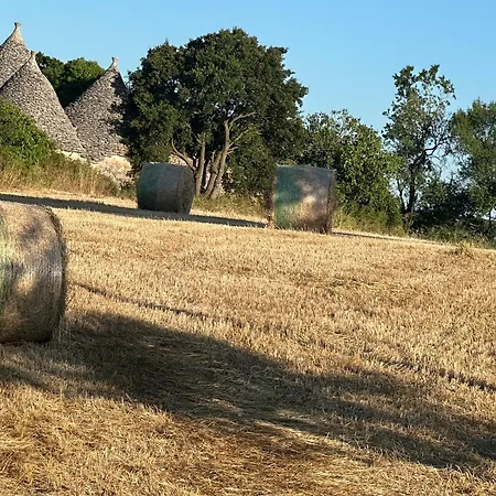 La Casa Del Glicine - Relax In Valle D'itria 马丁纳弗兰卡